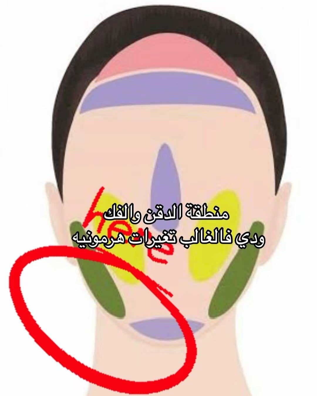 منطقة الذقن والفك